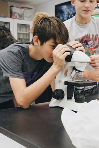 Investigating a mock murder case, freshman Jared Fitch examines samples through a microscope. “I expected to be learning about the human body and other biological lessons, but I didn’t didn’t expect we’d be learning about other jobs that biomedical sciences could lead to,” Fitch said.