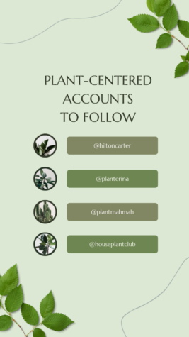 Posts by Plant People