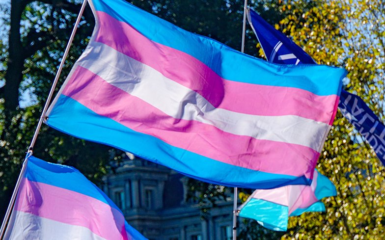 Transgender flags waving in the air.