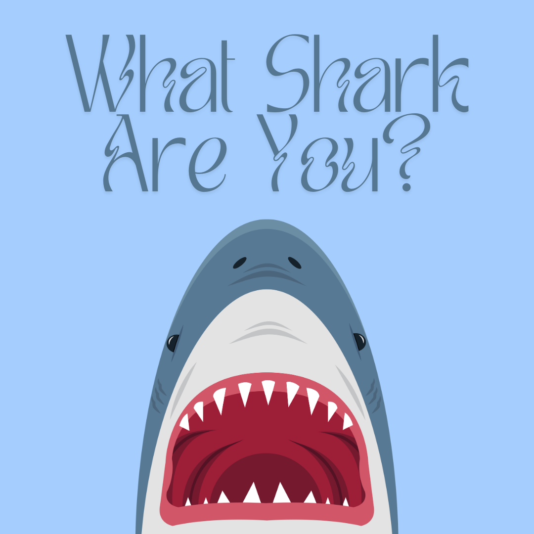 What Shark Are You?